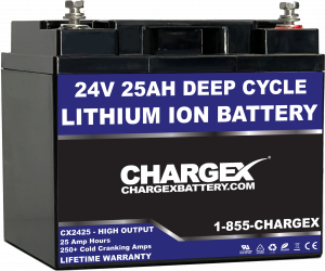 zelfmoord Technologie Interpreteren 24 Volt Lithium Ion Battery Kits | Lithium Battery Chargers