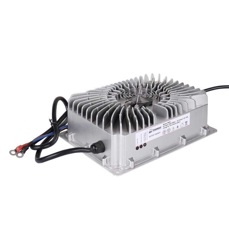 Chargeur 12V 25A 2 sorties